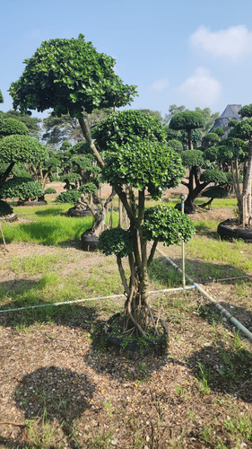 WhatsApp Image 2024 02 09 at 06.52.14 c49cae15.jpg