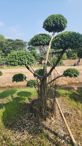 WhatsApp Image 2024 02 09 at 06.49.54 d9030c75.jpg