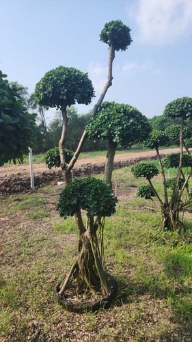 WhatsApp Image 2024 02 09 at 06.51.23 439fe56d.jpg