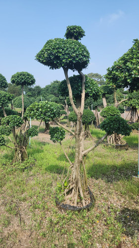 WhatsApp Image 2024 02 09 at 06.51.23 99df9aee.jpg