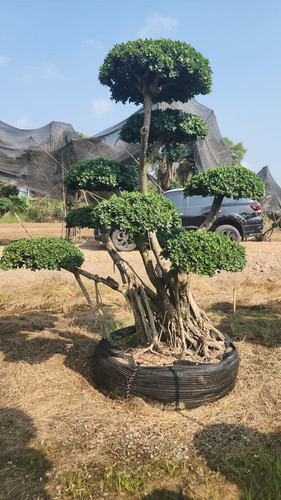 WhatsApp Image 2024 02 09 at 06.49.49 bcb31e50.jpg