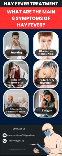 What are the main 6 Symptoms of Hay Fever?.png