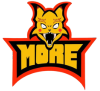 T MORE.png