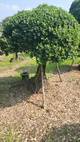 WhatsApp Image 2024 02 09 at 06.51.20 9401dbde.jpg