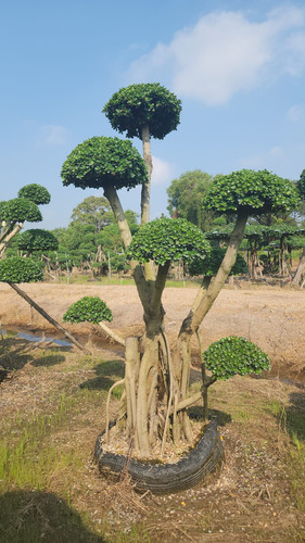 WhatsApp Image 2024 02 09 at 06.49.52 c7d7e798.jpg