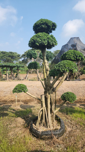 WhatsApp Image 2024 02 09 at 06.49.52 7778feeb.jpg