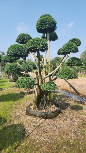 WhatsApp Image 2024 02 09 at 06.49.53 8308edb8.jpg