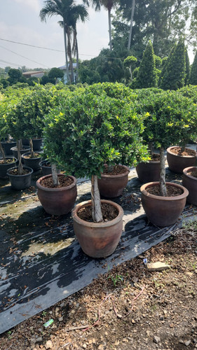 WhatsApp Image 2024 02 09 at 06.53.00 ccf5671e.jpg