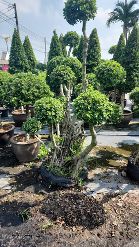 WhatsApp Image 2024 02 09 at 06.53.01 5f89fc92.jpg