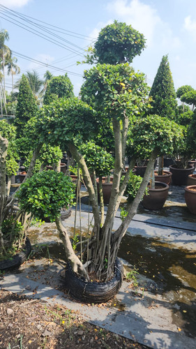 WhatsApp Image 2024 02 09 at 06.53.02 eceaca22.jpg