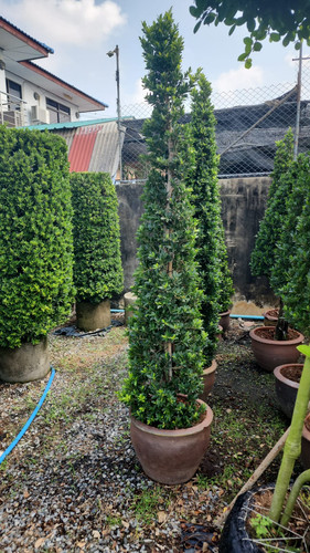 WhatsApp Image 2024 02 09 at 06.52.58 9b3953bd.jpg