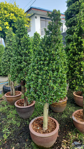 WhatsApp Image 2024 02 09 at 06.52.59 c67ddbb9.jpg