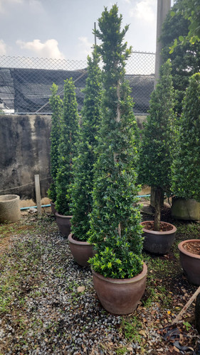 WhatsApp Image 2024 02 09 at 06.52.59 8a303a80.jpg