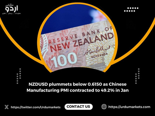 NZDUSD plummets below 0.6150 as Chinese Manufacturing PMI contracted to 49.2% in Jan.jpg