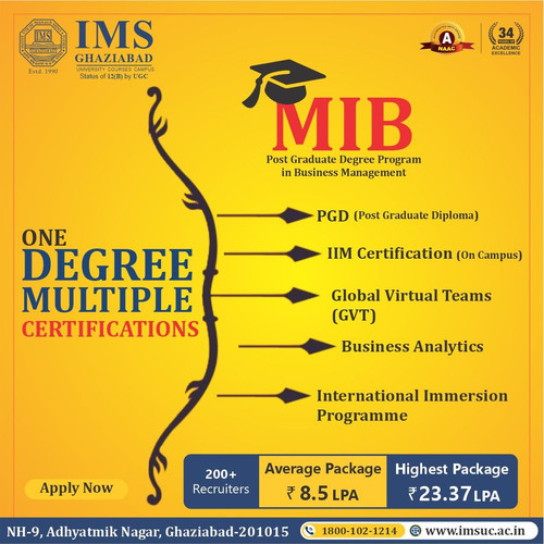 Masters in International Business in Delhi NCR (2).jpg