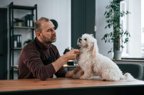 Meet and Greet 6 Essential Questions to Ask Pet Groomers.jpg