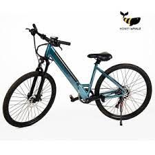 Discover The Best electric bikes In NZ.png