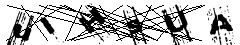 test.jpg