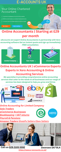 VAT Return Ltd Company-Xero Accountant UK.png
