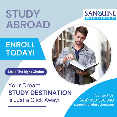 Top-Rated Study Visa Consultants Your Gateway to International Universities.png