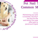 Pet Nail Trimming Common Mistakes to Avoid