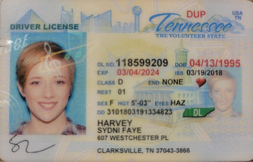 Sydni Faye Harvey Exposed Whore id.jpg