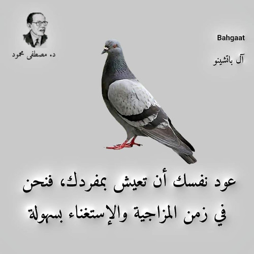 images%2Fimage 1707690222692.jpg