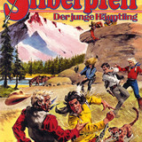 Silberpfeil 307