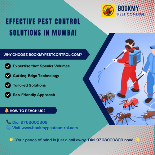 Effective Pest Control Solutions in Mumbai.png