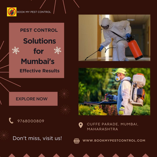 Pest Control Solutions for Mumbai's Effective Results.jpg