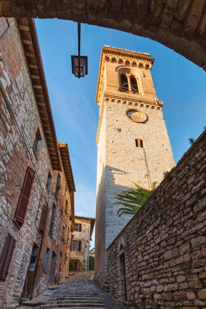istockphoto 994775194 612x612.jpg