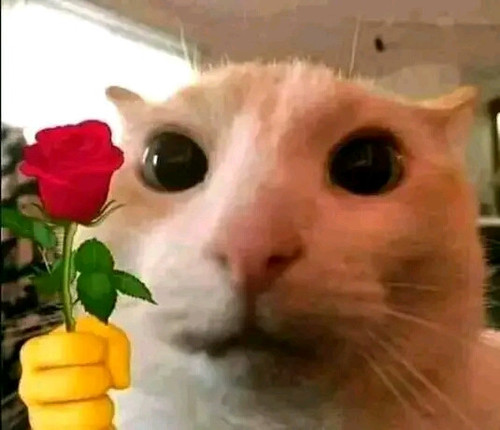 image.jpg