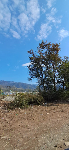 WhatsApp Image 2024 02 08 at 13.53.24 641519f9.jpg