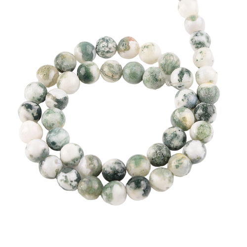 wh.1 PhotoRoom.png PhotoRoom.png