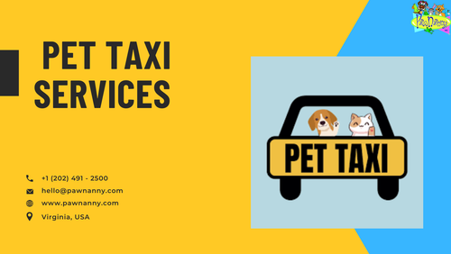 Pawnanny Pet Taxi Services: Ensuring Safe and Stress-Free Pet Travel.png