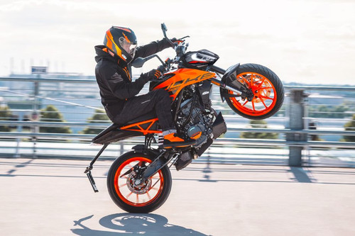 Untitled design(58).jpg