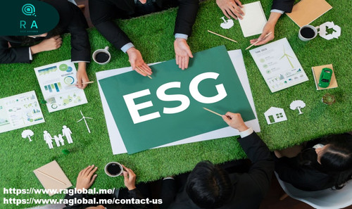 Driving Accountability: The Evolution of ESG Assurance Standards.jpg