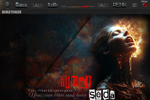 seda1 srs.jpg