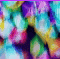 standard.gif