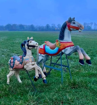 schermafbeelding 2024 02 11 114243.webp