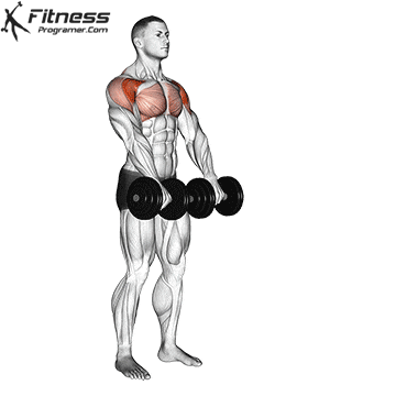 Two Arm Dumbbell Front Raise.gif