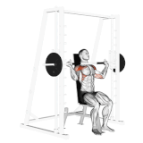 Smith Machine Shoulder Press.gif