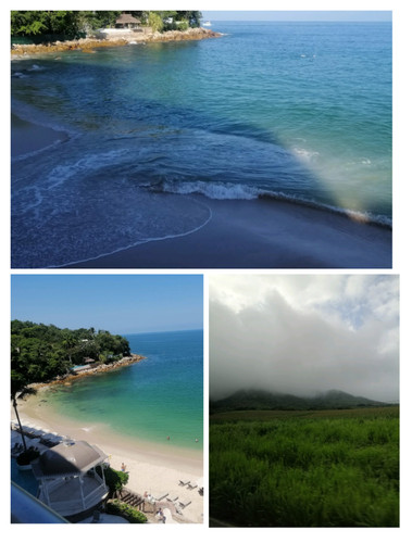 IMG 20240207 005246.jpg