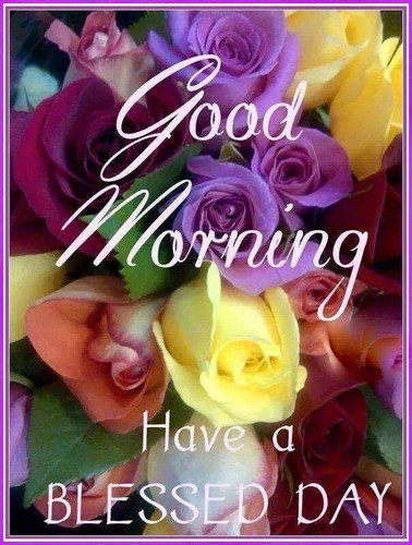 Good Morning Have A Blessed Day.jpg