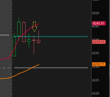 tsla 8223.jpg