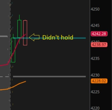 tsla 8223.jpg