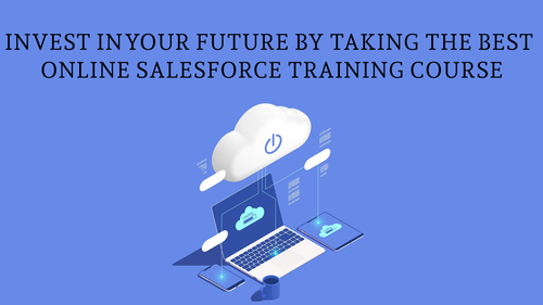 Invest in your future by taking the best online Salesforce Training course.png
