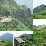 00019 本山四坑、黃金神社