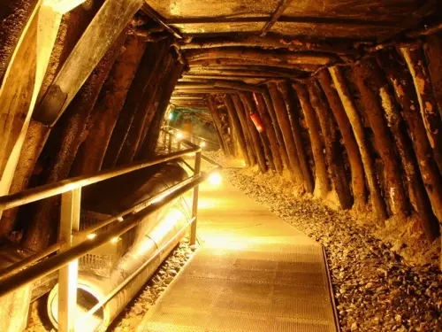 00000 本山五坑.webp