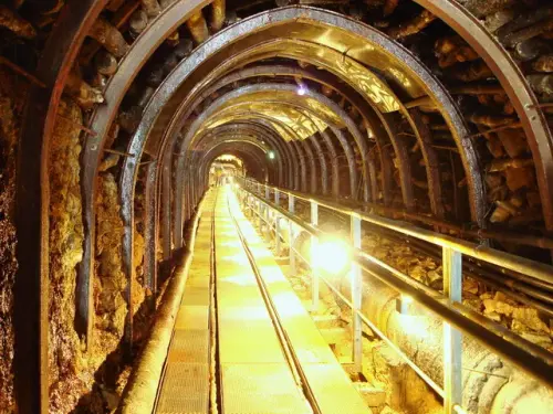 00029 本山五坑.webp